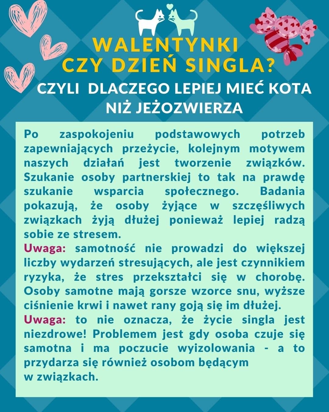 Prawie zdążyłam z postem na Walentynki, a na Dzień Singla nawet, nawet…
