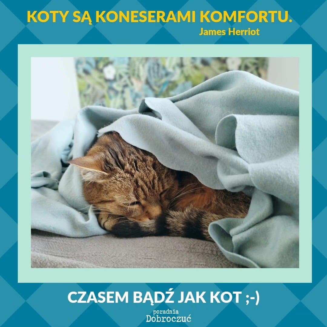 Za oknem zrobiło się prawdziwie jesienne, więc polecam, w miarę możliw…